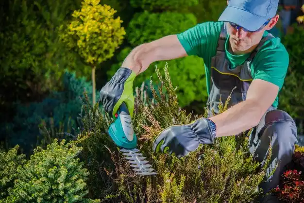 landscaping services Castalia
